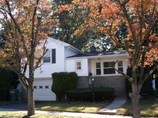 41 Fern St, Bridgeport, CT 06606-3536