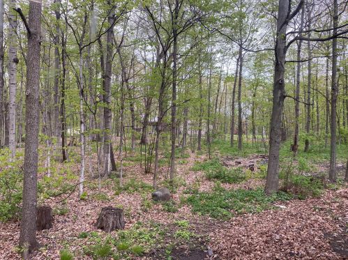 28902 Grove Ln, Waterford, WI 53185-1144
