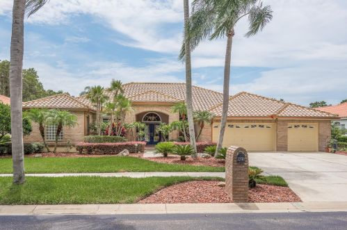 985 Carstairs Ct, Tarpon Springs, FL 34688-7607