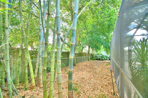 630 Hillside Cir, Lake Alfred FL  33850-3112 exterior