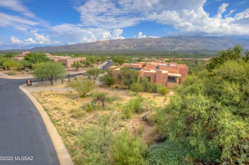 13808 Langtry Ln, Tucson, AZ 85747-9635