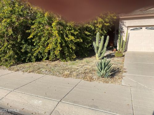 100 Piccolo Ct, San Tan Valley, AZ 85143-7512