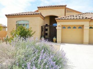 12367 Lost Shadow Ct, Marana, AZ 85658-4389