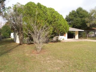 807 Vernon Ave, Tavares, FL 32778-2829