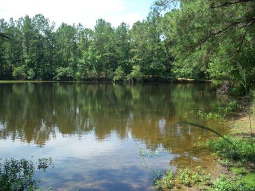 22375 Woodall Mill Rd, Opp, AL 36467