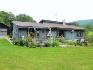 502 Blind Buck Rd, West Hebron, NY 12865-2820