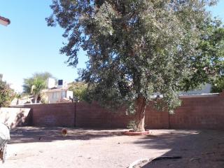 38 Quiet Desert Ln, Henderson, NV 89074-3276