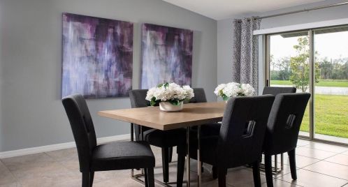 16635 Delia St, Wimauma FL  33598 exterior