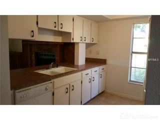 1729 Dooley Ln, Lakeland FL  33813-2307 exterior