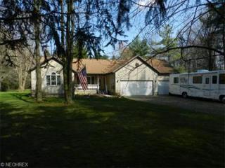 820 Bandy Rd, Deerfield, OH 44411-9718