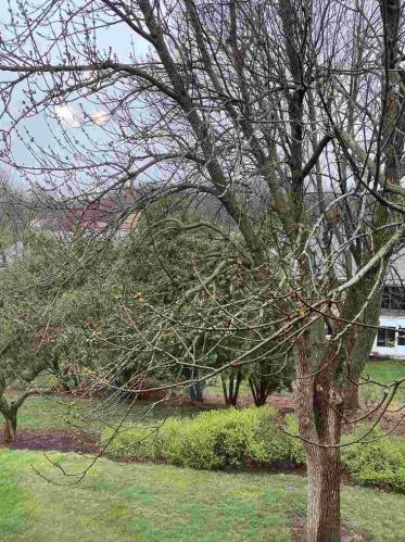 1418 Wheeler Rd, Madison WI  53704-8421 exterior