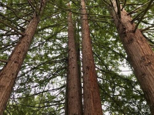 2612 Tamarisk Ct, Santa Rosa CA  95405-8413 exterior