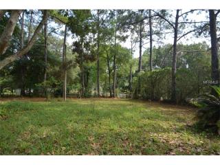 32541 Welsh Trl, Mount Plymouth, FL 32776-9705