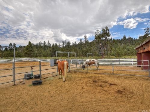 1556 Shay Rd, Big Bear City CA  92314-9180 exterior