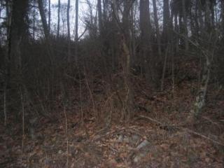 2 Surgcinsville Creek Rd, Surgoinsville TN  37873-3167 exterior