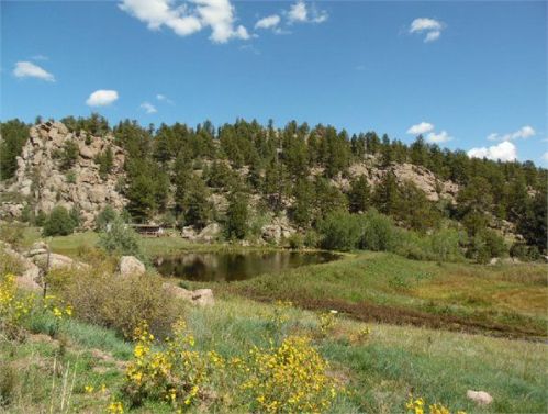 86 Slater Creek Rd, Twin Rock, CO 80816-9555