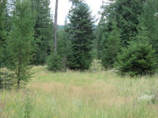 700-750 Finley Gulch Rd, Colville, WA 99114