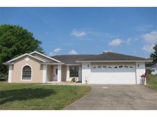 1100 Jodi Ridge Ct, Kissimmee, FL 34747-1245