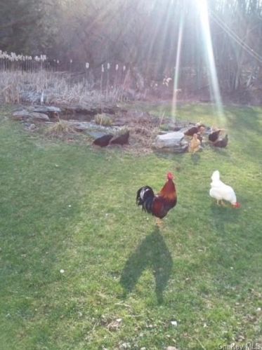 70 Spring Glen Rd, Mountaindale NY  12763-5426 exterior