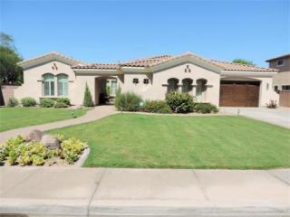 608 Elgin St, Gilbert, AZ 85295-2076