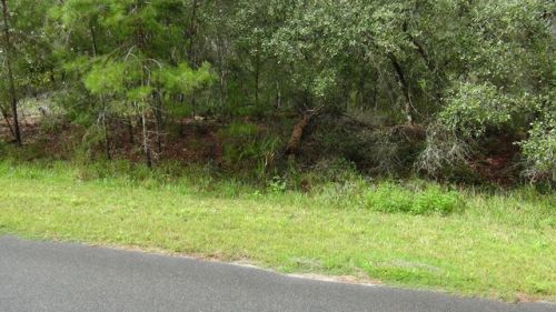 177 Whispering Pines Rd, Georgetown, FL 32139-2382