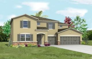 3309 Mapleridge Dr, Lutz FL  33558-5025 exterior