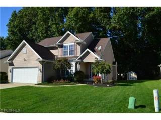 219 Rauscher Ct, Elyria, OH 44035-0914