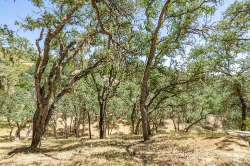 2178 Ridge Rider Rd, Lake Nacimiento CA  93426-9605 exterior