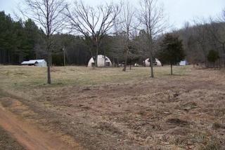 1382 Pevahouse Hollow Rd, Clifton, TN 38425-5131
