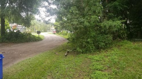 21891 Pineywood Loop, Land O Lakes FL  34639-3753 exterior