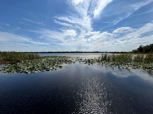 2570 Oak St, Kissimmee, FL 34741-4354