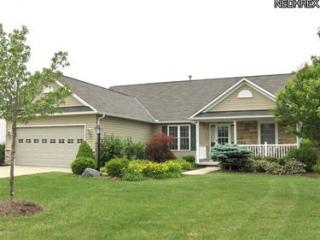 1737 Clemson Dr, Brunswick, OH 44212-6102