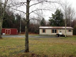 355 Hollenbeck Rd, Decatur, NY 12197-2400
