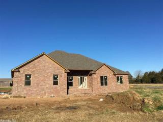 36 Colt Loop, Mcgintytown, AR 72058-9197