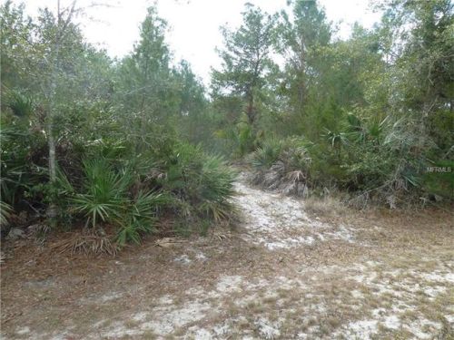 21506 Hobby Horse Ln, Xmas, FL 32709-9270