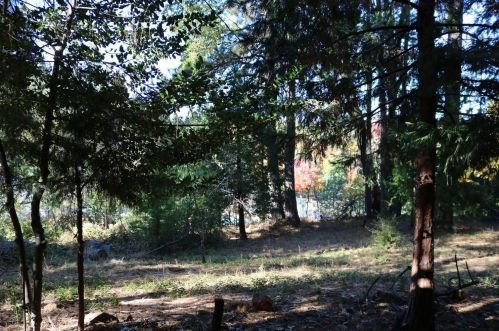 10458 Vly Vw Dr, Grass Valley CA  95949 exterior