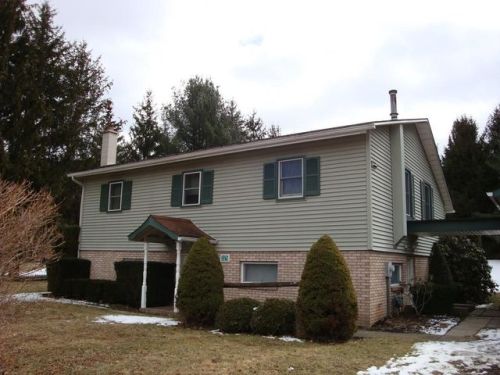 325 Wilson St, Blakes, PA 16912-1013