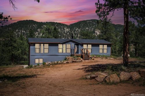28623 Amerind Springs Trl, Pine, CO 80470-8910