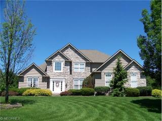 6495 Foxglove Dr, Medina, OH 44256-7863