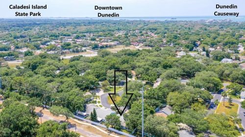 1475 Brier Ct, Palm Harbor, FL 34683-6367