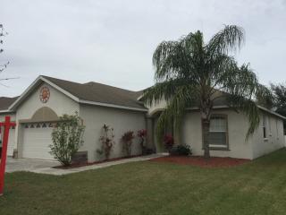 11715 Summer Springs Dr, Riverview FL  33579-4075 exterior