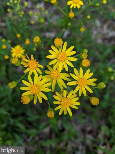 8819 Clinton Dr, Nokesville VA  20181-3205 exterior