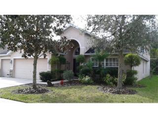 16440 Bridgewalk Dr, Lithia, FL 33547-4822