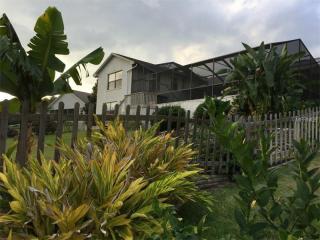 1324 Cove Pl, Tavares, FL 32778-2952