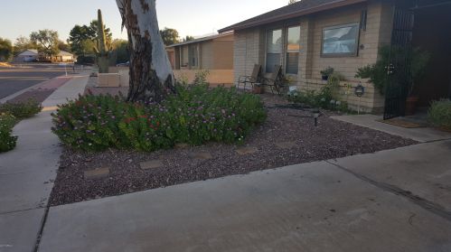 7840 Rasmussen Ave, Tucson, AZ 85741-1456