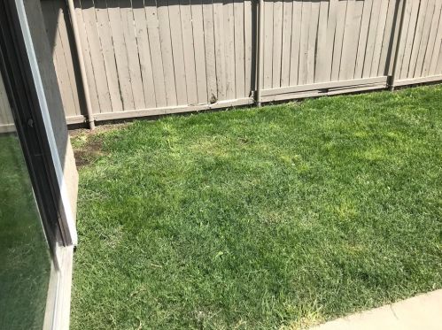 1165 Lyman Ave, Covina CA  91724-1806 exterior