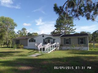 13130 23rd Pl, Morriston, FL 32668-2411