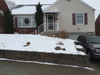 44 Brown St, Oliphant Furnace, PA 15401-4654