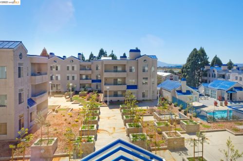 535 Pierce St, Berkeley CA  94706-1000 exterior