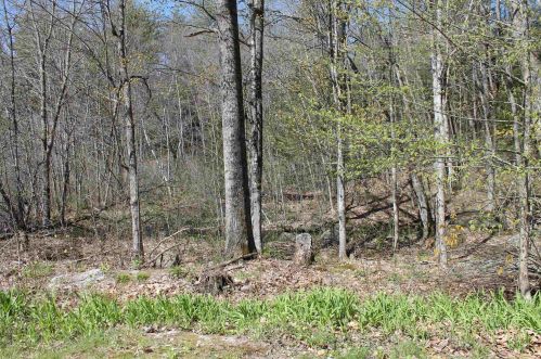 25 Warner Rd, Henniker NH  03242-3168 exterior